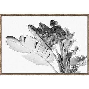 Amanti Art Tropical Velvet I - BW by Ryan Hartson Weddle Framed Canvas Wall Art - 1 of 4