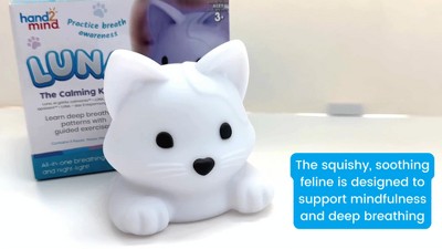 Hand2Mind Luna the Calming Cat: Social Skills Teaching Aid for