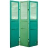 6" Double Sided Distressed Door Panel Canvas Room Divider Green - Oriental Furniture - 2 of 4