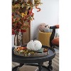 Gulches Series Multicolored Shatterproof Grid Pumpkin Harvest Festival Ornament - 2 of 4