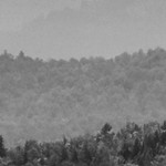 luster gray