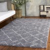 Arizona Shag ASG743 Power Loomed Indoor Rugs - Safavieh - 2 of 4