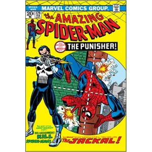 Punisher Epic Collection: The Punisher Strikes - by Gerry Conway