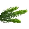 Northlight Gunnison Pine Artificial Christmas Wreath - 36" - Unlit - 2 of 3