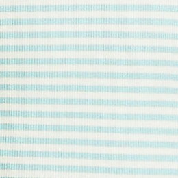 misty aqua mini stripe