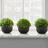 SEVOBAL Planters Set of 3 Artificial Grass Plants in Black Pots for Stylish Indoor Greenery, Green, 5"*5"*5" - 3 of 4