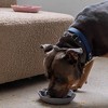 Dexypaws: Flower Slow Feeder - Grey - Dog & Pet Mealtime Accessory For 8" bowls - 4 of 4