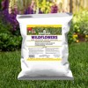 Jonathan Green Wildflower & Meadow Grass Mix – Vibrant Wildflower Seeds, Reseeding Perennials, Low Maintenance, 1 lb (Covers 1,000 Sq Ft) - 4 of 4