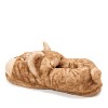 Dearfoams Men's Papa Bear Closed Back Slipper - 3 of 4