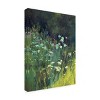 Trademark Fine Art - Carol Strock Wasson Wildflowers Canvas Art - image 4 of 4