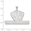 Black Bow Jewelry 10k White Gold Eastern Illinois Panthers NCAA Extra Large Pendant - 2 of 3