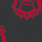 georgia bulldogs uga