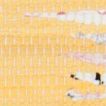 ivory/yellow