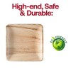 Smarty Had A Party 8" Square Palm Leaf Eco Friendly Buffet Plates - 75 pcs - 4 of 4