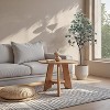 Artificial Eucalyptus Tree - Fake Silver Dollar Leaves, Realistic Eucalyptus Foliage, Silk Eucalyptus Plant, Decorative Indoor Plant - 3 of 4