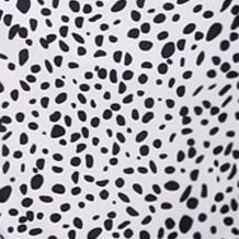 black white dalmatian