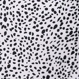 black white dalmatian