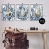 Stupell Industries Trio of Shells & Coral, 24" x 30" - 3 of 4