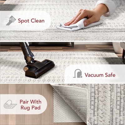 Nova Bohemian Gray Striped Synthetic 4' x 6' Area Rug