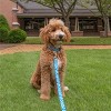 Country Brook Petz Deluxe Dog Collar - Camouflage Collection - Made in The U.S.A. - 2 of 4