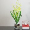 Northlight 23.5" Dancing Lady Orchid Silk Flower Artificial Potted Plant - Yellow - 3 of 3
