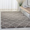 Hudson Shag SGH282 Power Loomed Indoor Rugs - Safavieh - 2 of 4