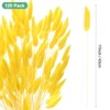 Unique Bargains Artificial Dried Flowers Realistic Look Pampas Bunny Tails Grass 17 Inch - 3 of 4