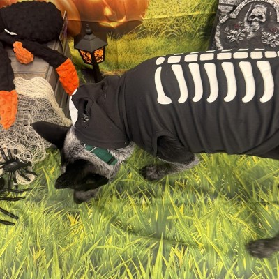 Guest review image 3 of 4, zoom in