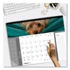 Pets Collection Monthly Desk Pad, Puppies Photography, 22 x 17, Black Binding, Clear Corners, 12-Month (Jan to Dec): 2025 - 4 of 4
