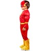 Rubies The Flash Deluxe Toddler Boys Muscle Chest Costume - 4 of 4