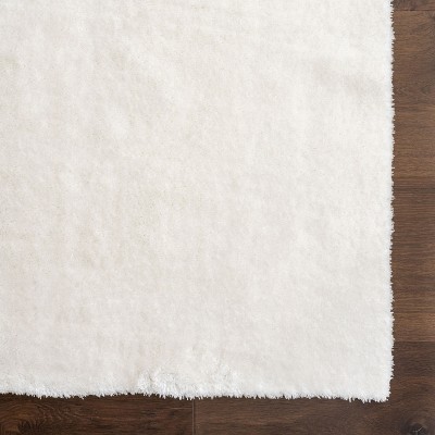White Machine Washable Non-Slip Shag Area Rug, 2'6" x 10'