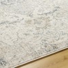 Hauteloom Nevra Area Rug - 4 of 4