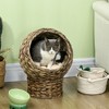 Skyzone Rotating Elevated Cat Bed with Soft Cushion - Wicker Basket Design, Cozy Hiding Spot for - 2 of 4