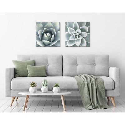 Soft Botanical Succulents Green and Gray Canvas Wall Art Set