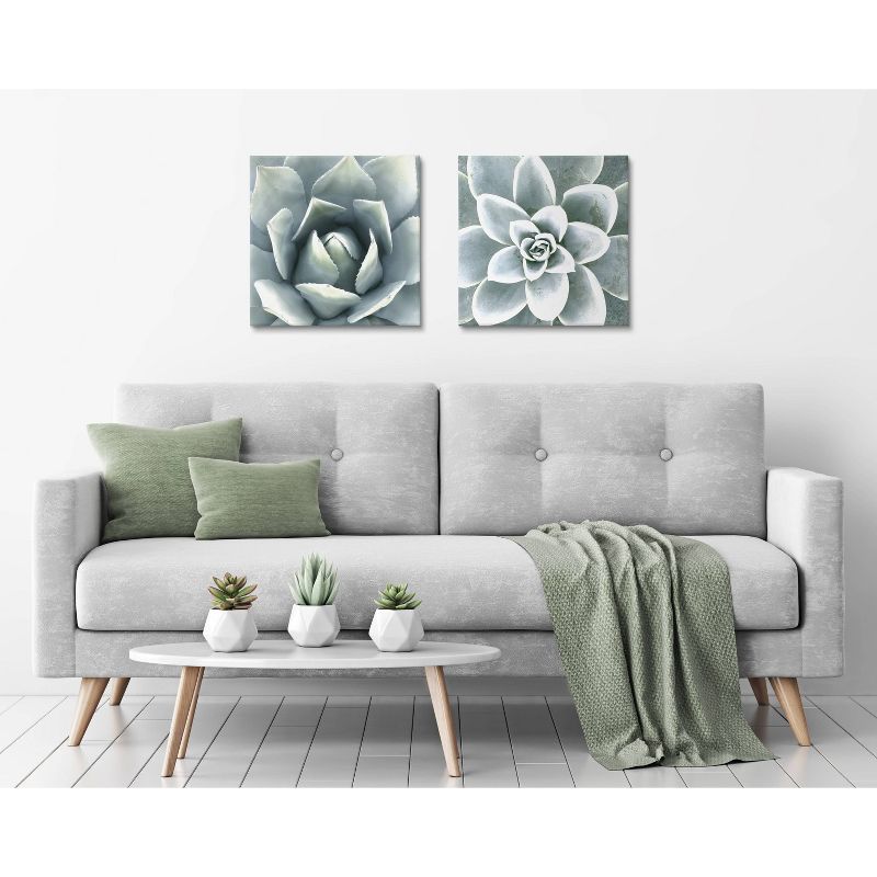 (Set of 2) 20&#34; x 20&#34; Soft Botanical Succulents by The Creative Bunch Studio Unframed Wall Canvas Set - Kate &#38; Laurel All Things Decor, 6 of 8