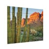 Trademark Fine Art Alan Majchrowicz Organ Pipe Cactus National Monument Arizona Wood Slat Art - 2 of 4