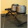 Fitness Reality X-Class Light Commercial Multi-Workout Abdominal /Hyper Back Extension Bench - image 3 of 4