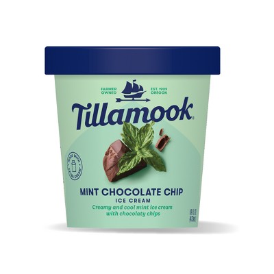 Tillamook Mint Chocolate Chip Frozen Ice Cream - 16oz