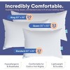Wool Pillow - 300TC 100% Cotton Shell, All Sleepers - Standard, Queen, King - 4 of 4