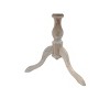 Carolina Living Paloma Accent Table Natural Driftwood: Rubberwood, 25.25" Height, Round Pedestal - 3 of 4