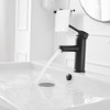 BWE Single Hole Single Handle Bathroom Faucet With Pop Up Drain - 3 of 4