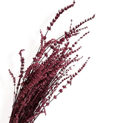 Alilang Decorative Dried Greenery Stems for Home Decoration and Floral Arrangements, 17.7 Inches