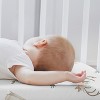 Sweet Jojo Designs Girl Baby Bassinet Fitted Sheets Set Deer Floral Pink Taupe and White 2pc - 3 of 4