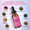 B Beworth 3000mg Sea Moss Liquid Drops - Immunity Booster, Digestive Health - 60ml - 2 of 4