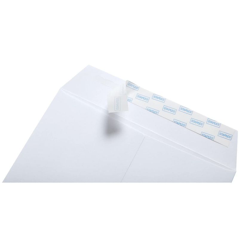 MyOfficeInnovations EasyClose Catalog Envelopes 6' x 9" White Wove 100/Box (20139) 892099, 4 of 6