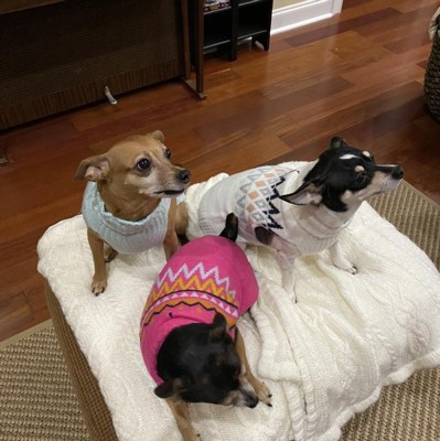 Smiley Face Dog And Cat Graphic Sweatshirt - Boots & Barkley™ : Target