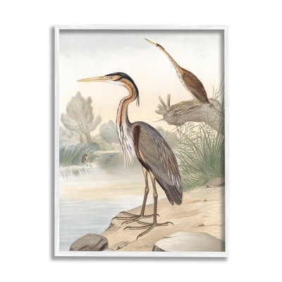 Stupell Industries Wild Heron Birds Perched Scenic Grassy Creek Framed Giclee Art