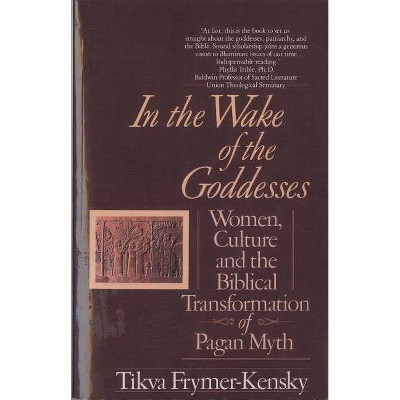 In the Wake of the Goddesses - by  Tikva Frymer-Kensky (Paperback)