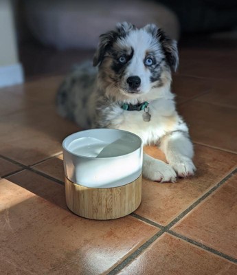 TEAMSON PETS 14 in. W Billie Small Elevated Wood Pet Feeder with Ceramic  Bowls, Brown ST-M10012 - The Home Depot