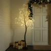 LuxenHome 5.9 Pre-Lit Birch Artificial Tree with Realistic Faux Tree Trunk Brown - 2 of 4
